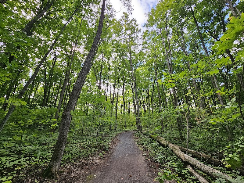 Monk Environmental Park