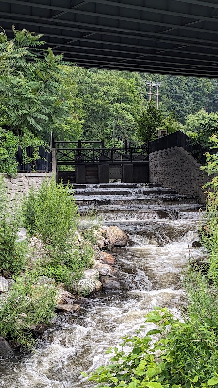 Naugatuck River: Paul Pawlak Sr. Bypass Channel & Park at Tingue Dam
