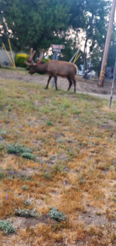 BVS Water Canyon Campground