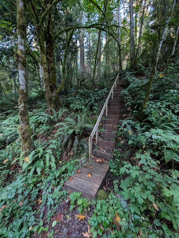 Metro Natural Area