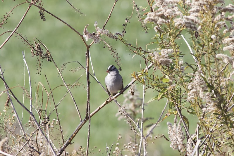 Barnhart Drive Trailhead Hanover Trolley Trail