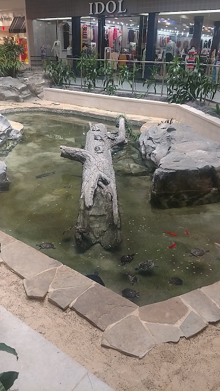 Turtle Pond