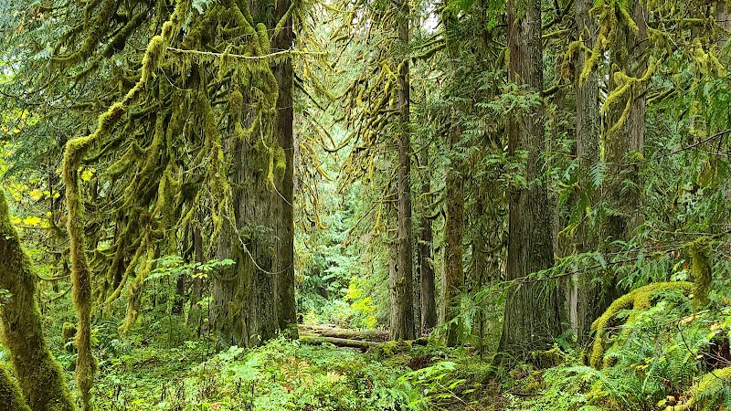 Salmon-Huckleberry Wilderness