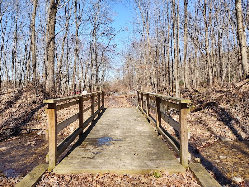 Bashakill Wildlife Management Area