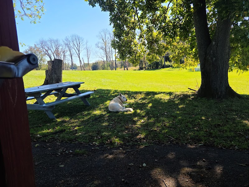 Pavilion at Town Park