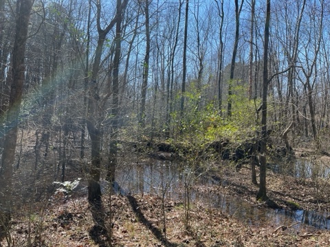Cochran Shoals Unit, Chattahoochee River National Recreation Area