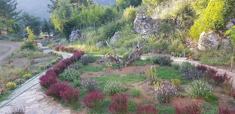 Hermes Village