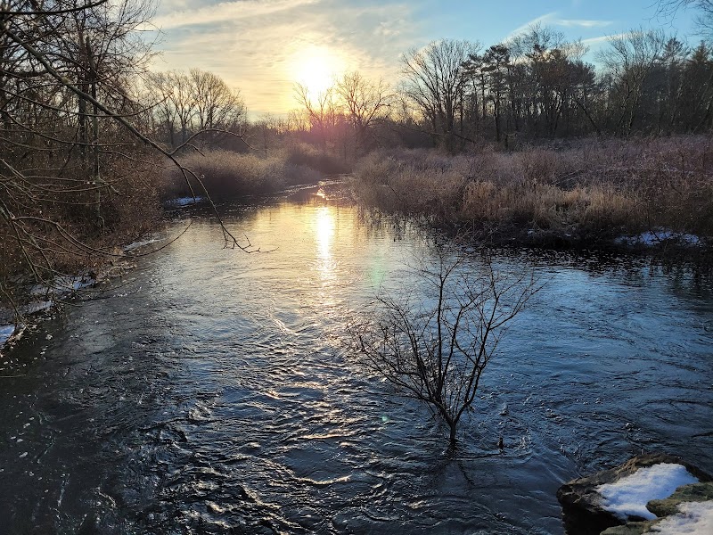 Hockomock Swamp Wildlife Management Area