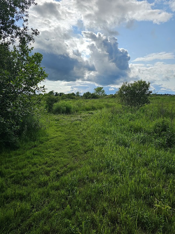 Hockomock Swamp Wildlife Management Area