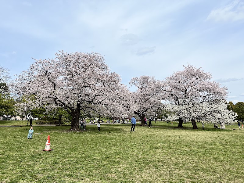 Shinozaki Park
