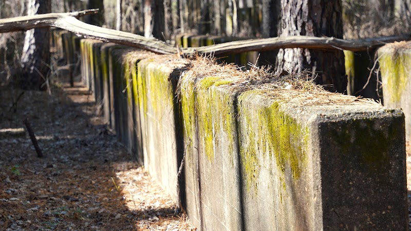 Longhorn TNT Production area #1