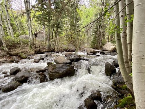 Bell Canyon Spillway