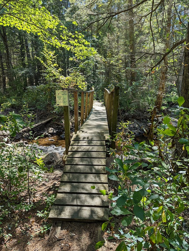 Plaistow Town Forest