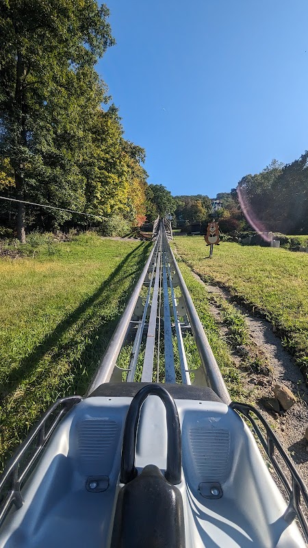 Alpine Mountain Coaster
