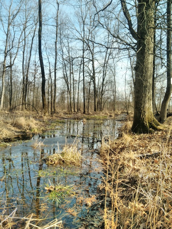 Troy Meadows Nature Preserve