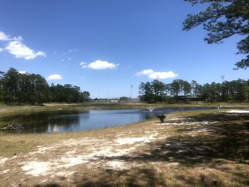 Veteran's Park - Nature Reserve and walking trails