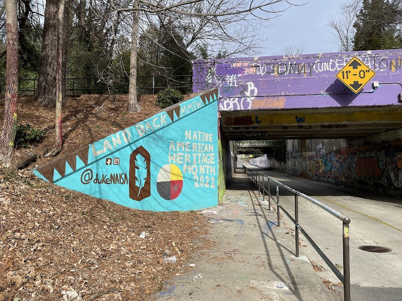 East Campus(Duke University) Tunnel Murals