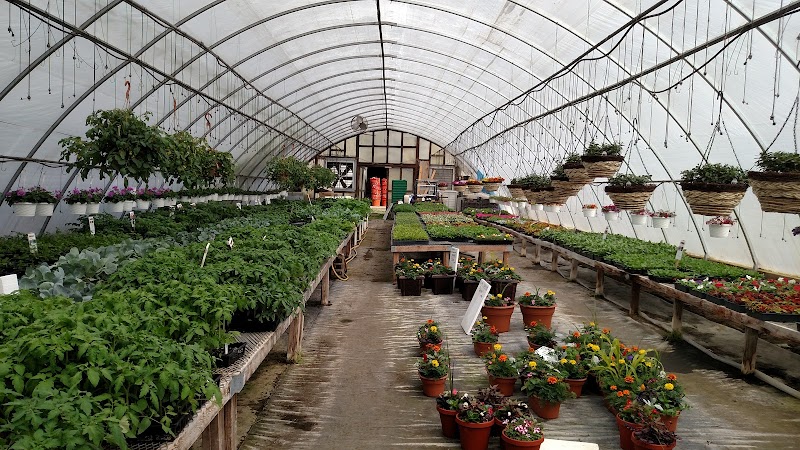 Bridges Greenhouse