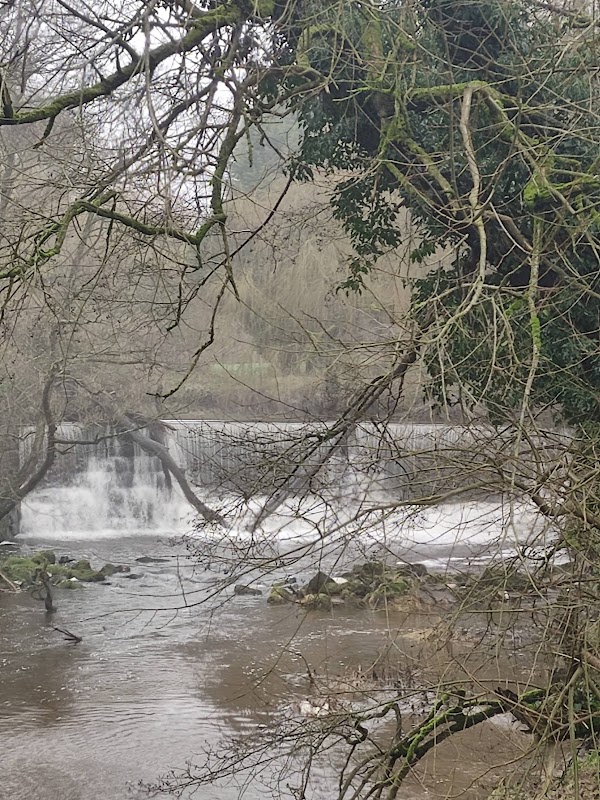 Congleton hydro project