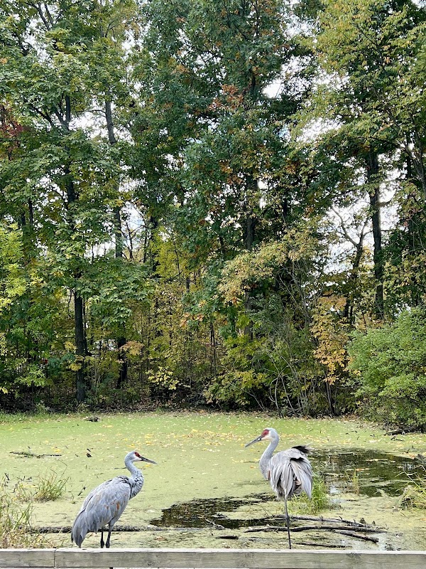 Kensington Nature Center