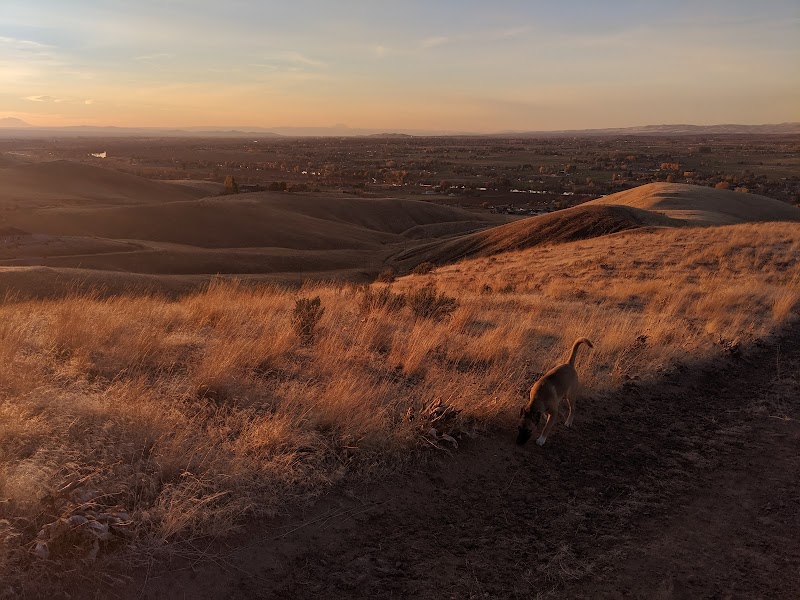 Unofficial Prosser Dog Park