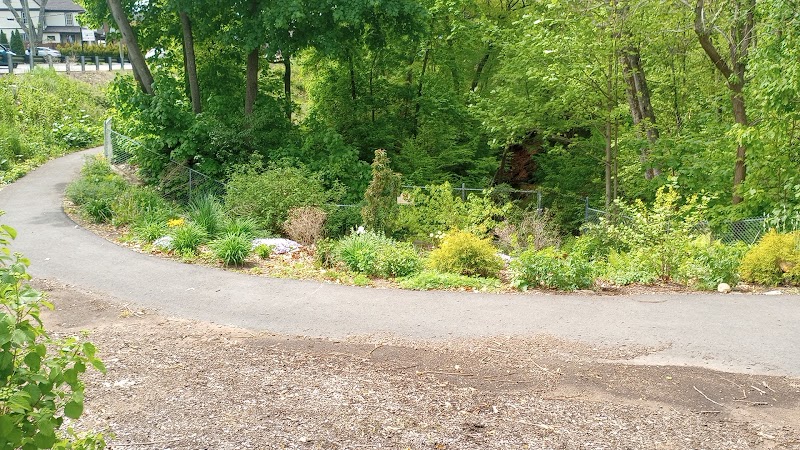 Bigelow Brook Butterfly Waystation
