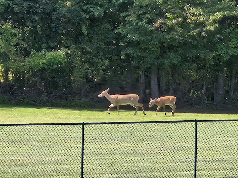 Hykes Mill Park