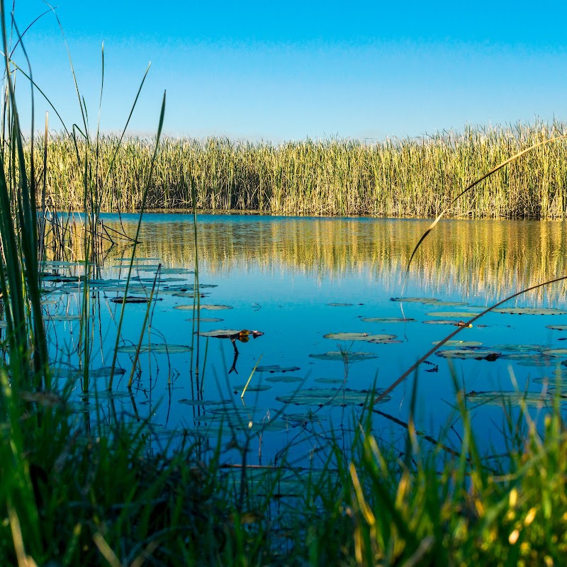 Everglades Wildlife Management Area - Water Conservation Area 2B