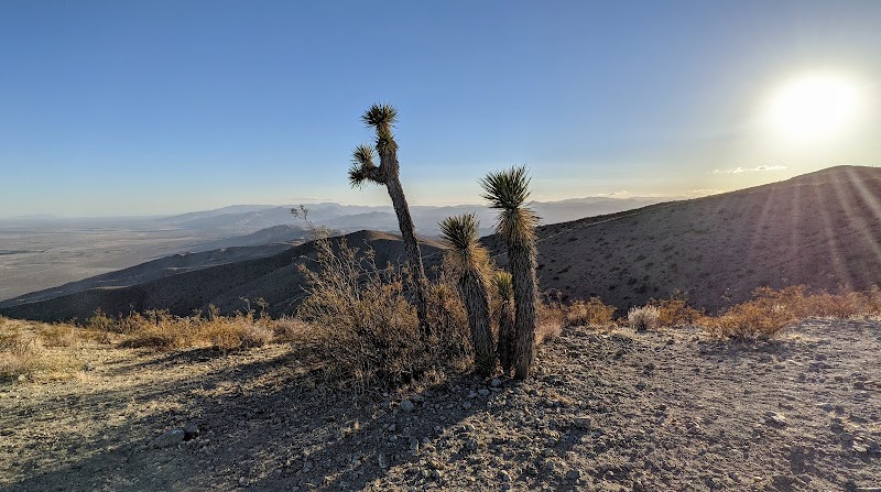 Burro Schmidt Lookout