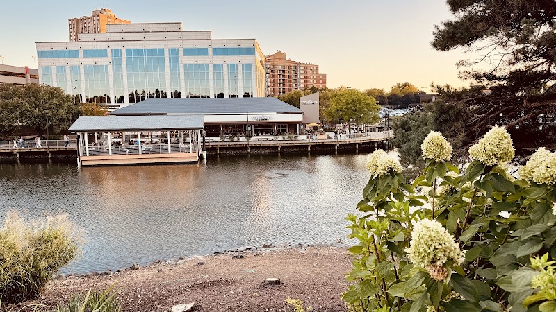 Rio Washingtonian Center Lake