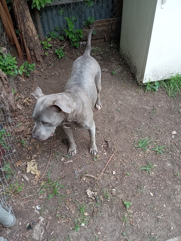 Moore Plantation WMA