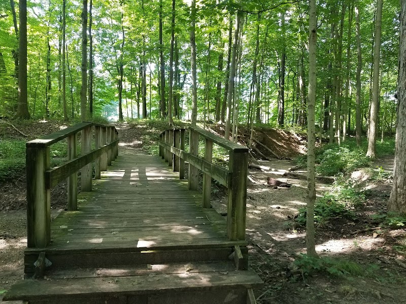 Marott Woods Nature Preserve