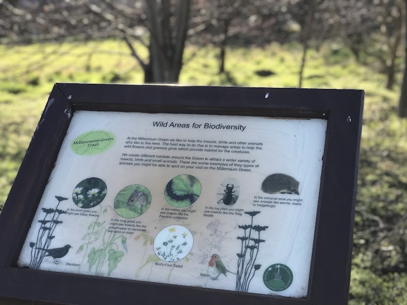 New Southgate Millennium Green