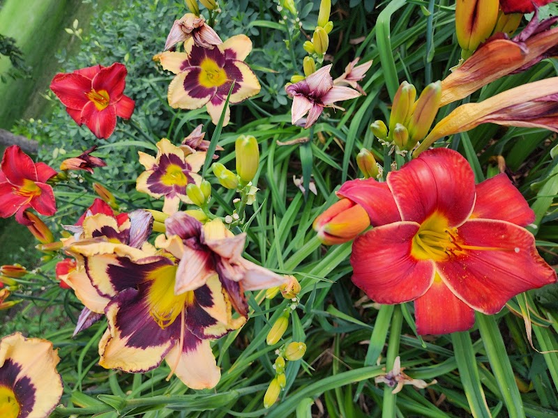 Humboldt Park Boathouse Gallery