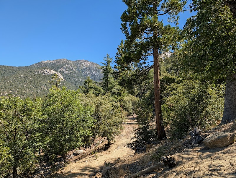 Ernie Maxwell Scenic Trail Southern Terminus
