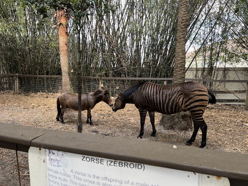 HorsePower for Kids & Animal Sanctuary