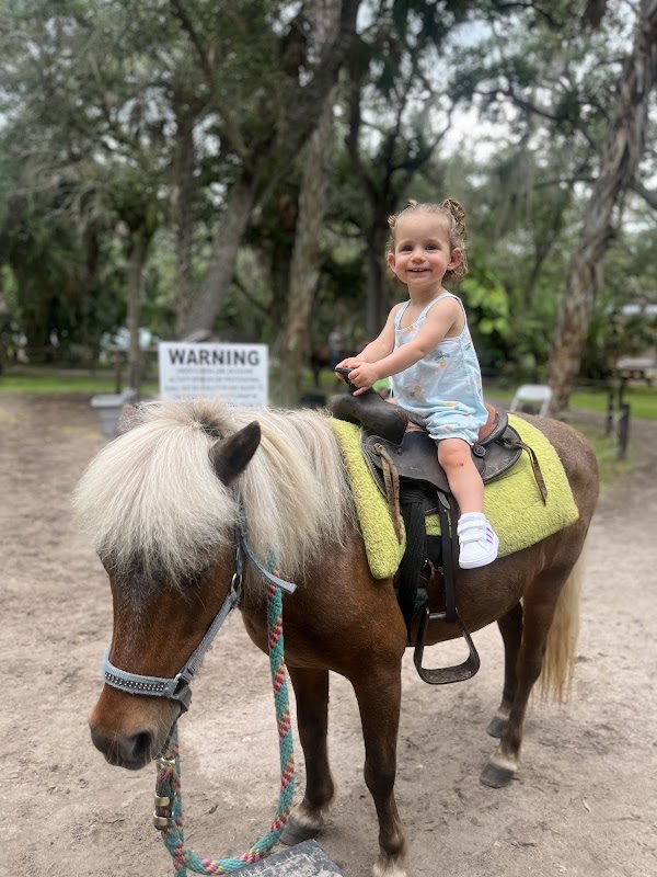 HorsePower for Kids & Animal Sanctuary