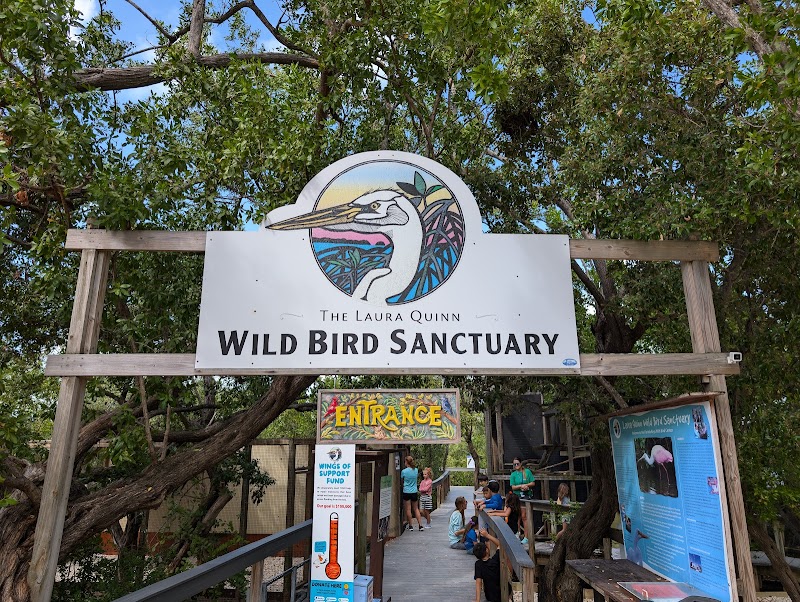 Wild Bird Sanctuary - Florida Keys Wild Bird Center