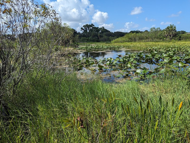 Snake Warrior's Island Natural Area