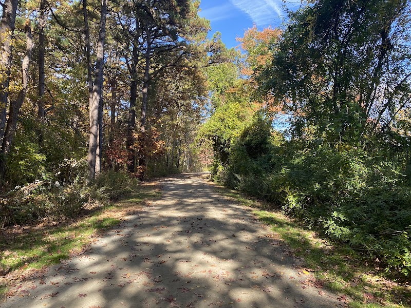 Barnegat Branch Trail, South Trailhead Parking