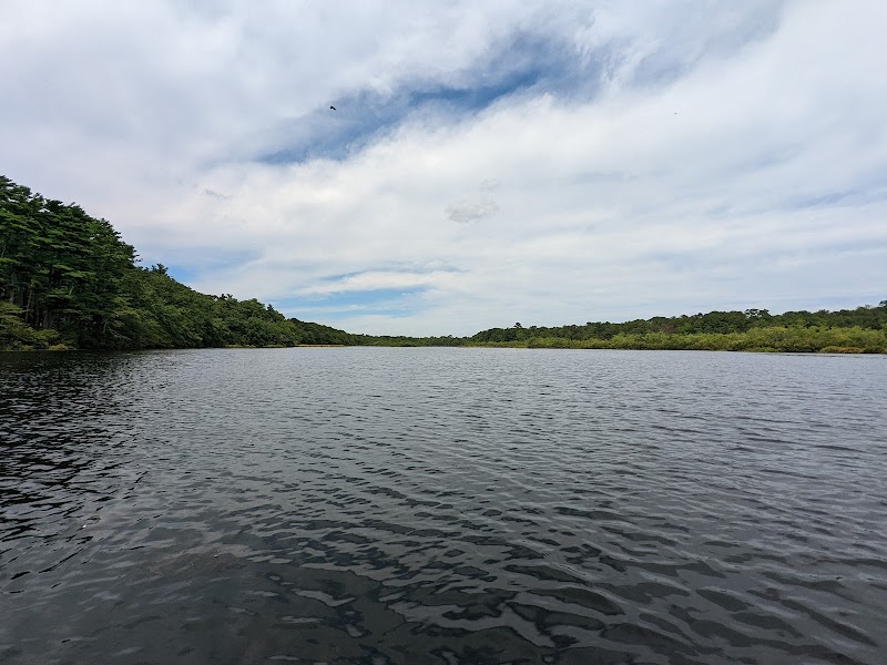 Southhaven Park Boat Rentals