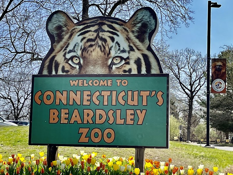 Connecticut's Beardsley Zoo