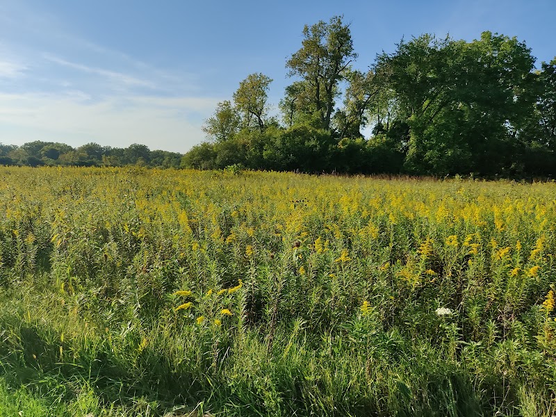 Cooper’s Hawk Family Picnic Area