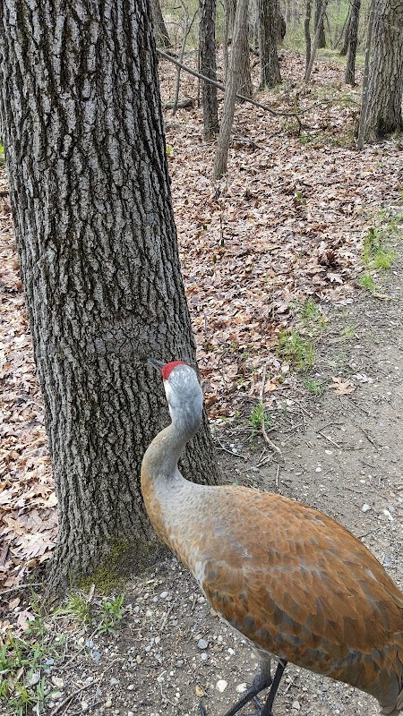 Deer Run Trail Scenic Outlook