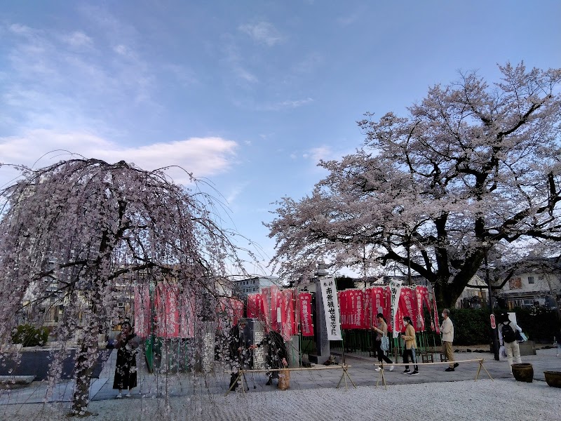 大光寺の枝垂れ桜