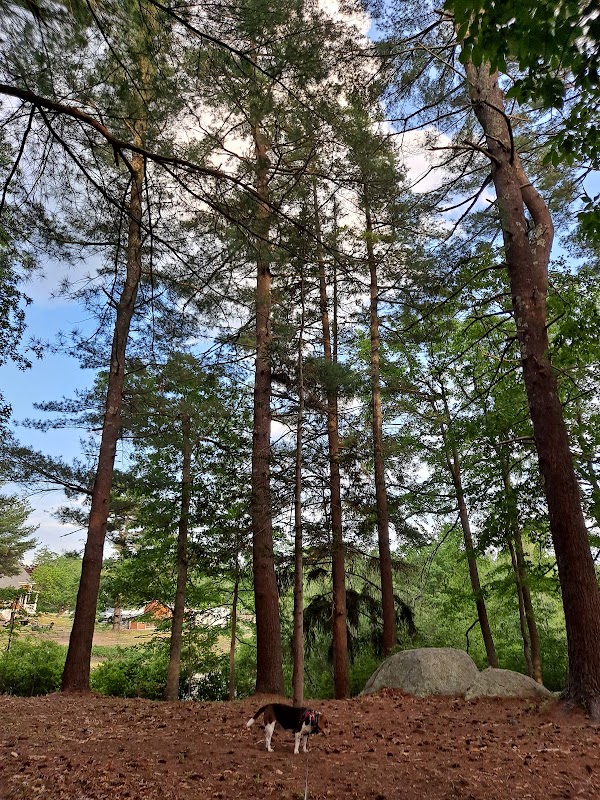 Lawrence Park