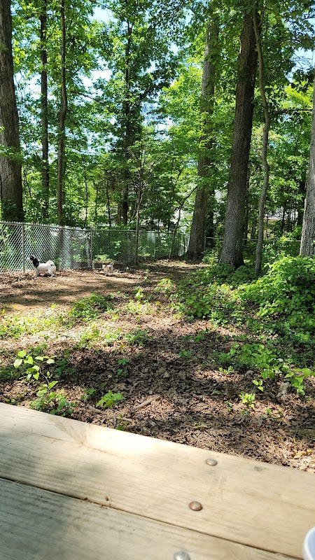 Dog Park at Clarks Creek Community Park