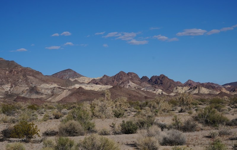 Trilobite Wilderness