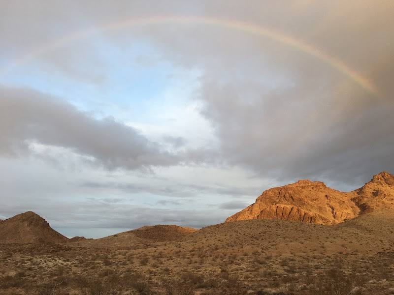 Trilobite Wilderness