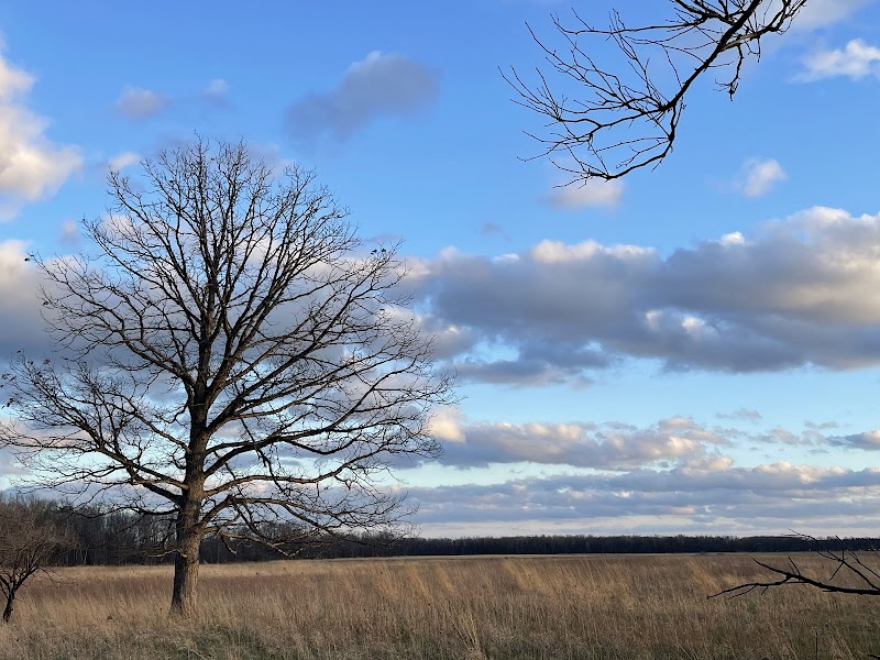 Bobolink Meadow Land and Water Reserve